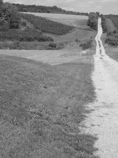 Weg bei Freyburg an der Unstrut